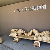 キラリと光る企業紹介：認証No.191　公益財団法人　宇部市常盤動物園協会